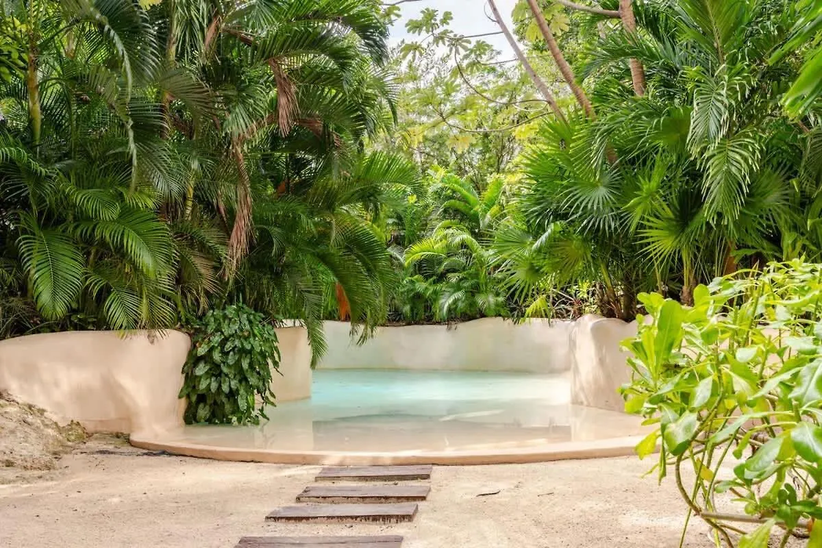 Estudio En Av. Coba Para 4 Personas Tulum 0*,